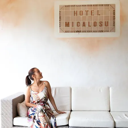 Hotel Micalosu 3*