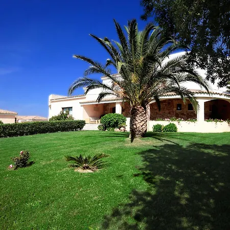 Micalosu كانّيجوني