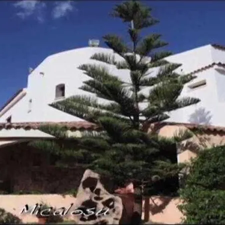 Micalosu كانّيجوني