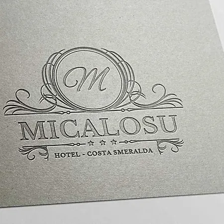 Micalosu Otel