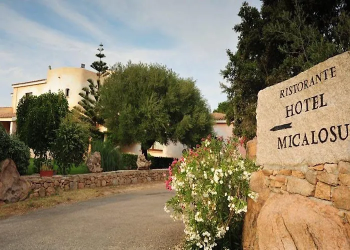 Hotel Micalosu 3*
